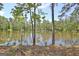 Charming waterfront view featuring a serene pond bordered by lush greenery, perfect for relaxation and enjoying nature at 82 Airmont Dr, Sharpsburg, GA 30277