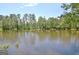 Scenic pond view surrounded by trees, creating a serene and picturesque environment for lakeside enjoyment at 82 Airmont Dr, Sharpsburg, GA 30277