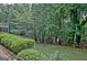 Serene backyard space with a lush green lawn, mature trees, and a wooded backdrop at 102 Passage Point, Peachtree City, GA 30269