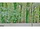 Overlooking the fenced in backyard, featuring trees and greenery, this yard offers a secluded and private space at 102 Passage Point, Peachtree City, GA 30269