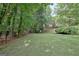 Spacious backyard featuring lush green grass, mature trees, and a peaceful, natural setting at 102 Passage Point, Peachtree City, GA 30269