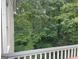View from a deck shows dense and mature trees creating a private, wooded scene at 102 Passage Pt, Peachtree City, GA 30269