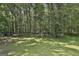 Expansive backyard featuring mature trees, grassy area, and a playground set at 109 Cannon Road, Sharpsburg, GA 30277