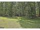 Spacious backyard with lush lawn surrounded by mature trees is perfect for outdoor activities at 109 Cannon Road, Sharpsburg, GA 30277