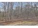 View of the wooded backyard at 315 Antebellum Way, Fayetteville, GA 30215
