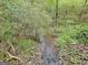 A creek surrounded by lush greenery and rocks provides a natural, tranquil scene at 315 Antebellum Way, Fayetteville, GA 30215