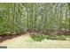 A grassy backyard surrounded by lush green trees, creating a serene and private outdoor space at 315 Antebellum Way, Fayetteville, GA 30215