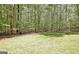 A level, grassy backyard bordered by tall trees, offering privacy and a natural setting at 315 Antebellum Way, Fayetteville, GA 30215