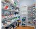 Organized pantry features white wire shelving for ample storage and a window providing natural light at 255 Hidden Lake Dr, Fayetteville, GA 30215