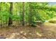 Lush wooded backyard with natural landscaping and partial view of the swimming pool at 324 Chimney Sweep Cir, Peachtree City, GA 30269