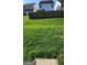 Large grassy backyard that's great for , pets, and entertaining guests at 1562 Onalee Dr, Hampton, GA 30228