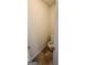 Cozy powder room featuring tile flooring, ideal for guests' convenience at 1562 Onalee Dr, Hampton, GA 30228