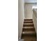 Carpeted staircase to the second floor with natural light at 1562 Onalee Dr, Hampton, GA 30228