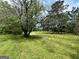 Beautiful open field with tall grasses surrounded by mature trees, offering serene views at 1085 Pleasant Hill Nw Rd, Conyers, GA 30012