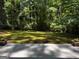 Well-manicured backyard lawn surrounded by lush trees, offering a peaceful and private outdoor space at 335 Cedar Ln, Fayetteville, GA 30214