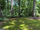 View of the grassy backyard surrounded by mature trees, offering a peaceful and private outdoor space at 335 Cedar Ln, Fayetteville, GA 30214