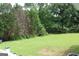 Backyard featuring a well-manicured lawn at 124 Wynn Rd, Mcdonough, GA 30252