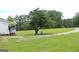 Spacious green yard with a large tree providing shade and a driveway in the background at 124 Wynn Rd, Mcdonough, GA 30252