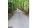Gravel driveway through lush trees, showcasing a private and scenic entrance to the property at 531 Grant Rd, Brooks, GA 30205
