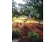 Landscaped garden featuring a beautiful flowering tree, mulch beds, and various plants, enhancing the outdoor space at 531 Grant Rd, Brooks, GA 30205