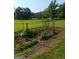 Well-tended garden with a variety of plants, offering a space for gardening enthusiasts at 531 Grant Rd, Brooks, GA 30205