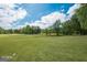 Vast land with green pasture extending to the tree line under a blue sky at 531 Grant Rd, Brooks, GA 30205