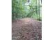 Wooded path with natural ground covering, inviting nature walks and exploration at 531 Grant Rd, Brooks, GA 30205