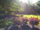 Expansive yard with rose bushes and mature trees, providing a serene outdoor space at 531 Grant Rd, Brooks, GA 30205