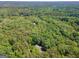 Panoramic aerial view of a sprawling green canopy in a suburban setting, emphasizing natural beauty and community charm at 9255 Betony Wood Trl, Jonesboro, GA 30236