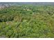 Overhead view of lush green trees in a neighborhood setting, showcasing the serene and natural environment at 9255 Betony Wood Trl, Jonesboro, GA 30236