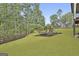 Expansive backyard with playset, trampoline, and lush green lawn at 415 Discovery Lake Dr, Fayetteville, GA 30215