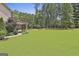 Expansive green backyard with lush landscaping and mature trees at 101 Sumner Place Ct, Peachtree City, GA 30269