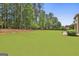 Large backyard with lush lawn and mature trees, enhancing outdoor living at 101 Sumner Place Ct, Peachtree City, GA 30269