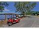 A red golf cart parked near the lake, providing easy access to recreational activities at 101 Sumner Place Ct, Peachtree City, GA 30269