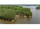 Aerial view showcases lakefront property with dense trees on the shore at 255 Mcintosh Estates Dr, Sharpsburg, GA 30277