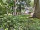 Backyard with privacy fence surrounded by mature shade trees at 4116 Warrior Trl, Stone Mountain, GA 30083