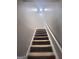 Carpeted staircase with white railings leads to the upper level, illuminated by a skylight for natural light at 1464 Riverrock Trl, Riverdale, GA 30296
