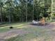 Expansive backyard features a playset and wooded border at 126 Country Acres Ct, Mcdonough, GA 30253