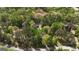 Aerial view of house surrounded by lots of mature trees at 5350 Hearn, Ellenwood, GA 30294