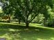 Expansive backyard with mature trees and green grass at 856 New Hope Rd, Fayetteville, GA 30214