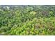 Lush green forest aerial view of a neighborhood in a secluded area at 135 Birdsong Ln, Fayetteville, GA 30215