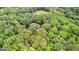 Lovely forest aerial view of secluded home amongst lush green trees at 135 Birdsong Ln, Fayetteville, GA 30215