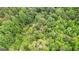 Incredible aerial view of a dense green forest and open meadow at 135 Birdsong Ln, Fayetteville, GA 30215