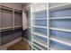 Walk-in closet with shelving, carpet flooring, and light blue walls at 5780 Pumkintown Rd, Douglasville, GA 30135