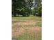 Level lot with a mix of grass and dirt, surrounded by mature trees, ideal for building or recreation at 5780 Pumkintown Rd, Douglasville, GA 30135