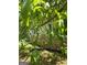 Lush backyard with mature trees offering shade and privacy with stone accents at 5780 Pumkintown Rd, Douglasville, GA 30135