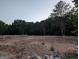 Land available for development, surrounded by lush greenery and mature trees at 5700 Miles Rd, South Fulton, GA 30349
