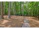 Gated backyard section with a stone path leading into a wooded area at 111 Biltmore Trce, Peachtree City, GA 30269