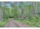 Gravel driveway leading to a house surrounded by lush trees at 29 Clark Pl, Whitesburg, GA 30185