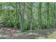 Beautiful wooded land with mature trees offering privacy and natural beauty at 29 Clark Pl, Whitesburg, GA 30185